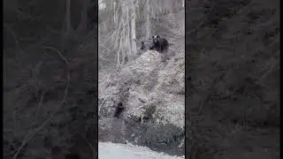 А меня то забыли !!!