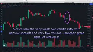 Volume price analysis applied to the daily chart for Bitcoin