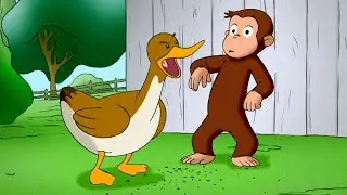 George and the Ducklings 🐥🐵 Curious George 🐵 Animal Friends