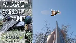 CHASSE du CANARD en levée d'étang - 2023