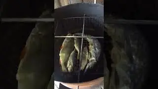 Коптильня из бочки своими руками⚒️Рыба 🐟 горячего копчения #коптильня#рыбалка#fishing #юеларусь#diy