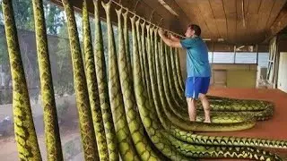 لقطات صورتها عدسات الكاميرا لو لم تلتقطها الكاميرات لما صدقها احد !!!