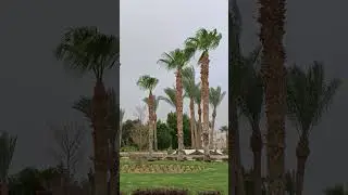 как одновременно успокаивает и радует взгл