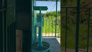 Биополис. Бинокль. 22 мая 2024 г.