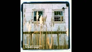To Build A Home (Radio Version) - Cinematic Orchestra feat. Patrick Watson