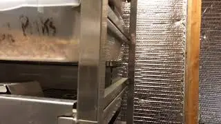 Rats are paying off