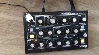 Moog Minitaur Analog Bass Synth with Ableton Live