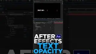 After Effects: How to animate text opacity