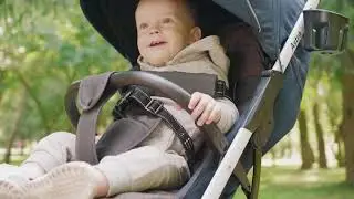 Коляска Carrello Astra презентация