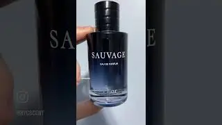 Longest Lasting Fragrances 🤑🔥 #fragrance #allday