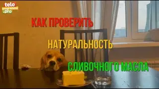 Как проверить сливочное масло на вшивость
