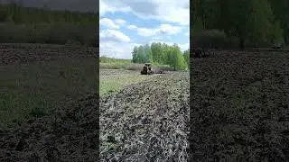 Трактор Т-74 тяжело идёт в гору #дт75 #dt75 #синийтрактор