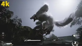 Wukong | 4k DLSS Balanced | 4070 Super