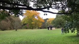 Autumn at Kew Gardens