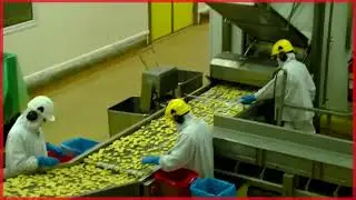 La folle histoire du nuggets de poulet 🍗 Documentaire consommation