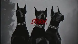 SOLD | (HARD) TRAP METAL TYPE BEAT 