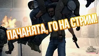 Пачанята, го на стрим.