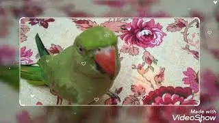 Childhood Of My Beloved Bunty😍