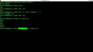 Writing your First Shell Script for Linux Tutorial