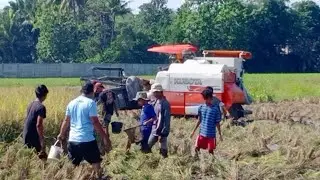 Mesin Panen Padi Tercepat #443
