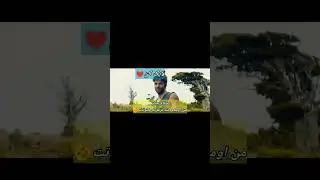 دختر باید با یکی بالاخره بره رو تخت،چون...😌