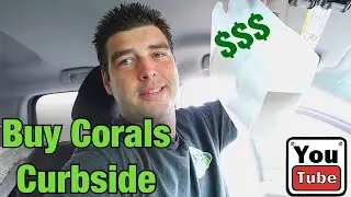 Buying Coral for the 300 gallon