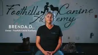 Brenda Testimonial for @K9Defense