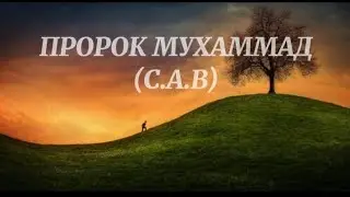 ПРОРОК МУХАММАД ﷺ