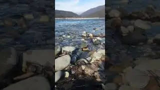Аргунское ущелье у подножья с Улус-Керт