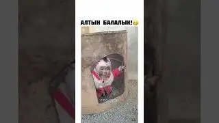 балалык😍 #бишкек #кыргызстан жаны кыргыз кино