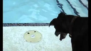 Murphy vs the Pool Filter