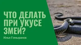 32. Змеи, яд, укусы