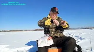 Прекрасный  выходной на рыбалке!