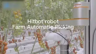 Hitbot Robot Farm Automated Picking Application