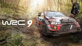 WRC 9 Игра на руле, настройки машины, руля  и телеповтор