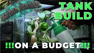 Urban Jungle | Budget Tank Build for Crested Gecko