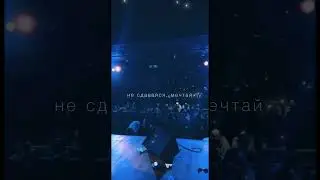 Прекрасное завершение года и тура!