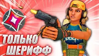 АПАЮ ИММОРТАЛА ТОЛЬКО С ШЕРИФОМ — НАЧАЛО