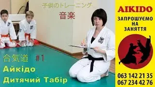 合気道. Спортивный лагерь SHYUUGAKU 2017 (Музыка Осени) dojo Meishinkan Киев, Украина.