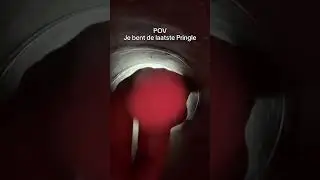POV: JE BENT DE LAATSTE PRINGLE 🤣