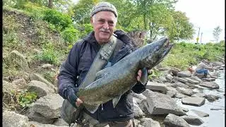 Fly fishing 2023. Рыбалка нахлыстом.