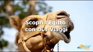 Scopri l'Egitto con DLT Viaggi