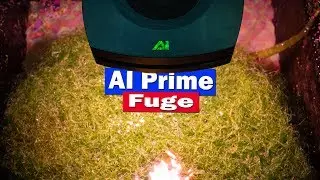 Aqua Illumination AI Prime Fuge Refugium LED Light Fixture - Chaetomorpha explosion!