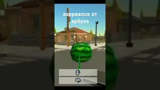 хомяк взорвался от арбуза