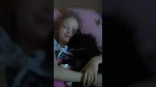 прикольное видео кошачий сон