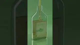 Queez Juice / Mehmet Uras Bozkurt