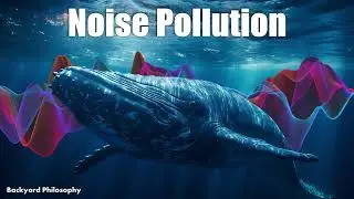 Noise Pollution ... More Devastating Than You Think
