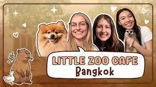 Little Zoo Cafe in Bangkok!