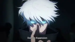 Gojo Domain Expansion