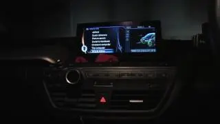 Living With the BMW I3 #30 Diagnosis Costs